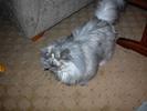 DSC00012