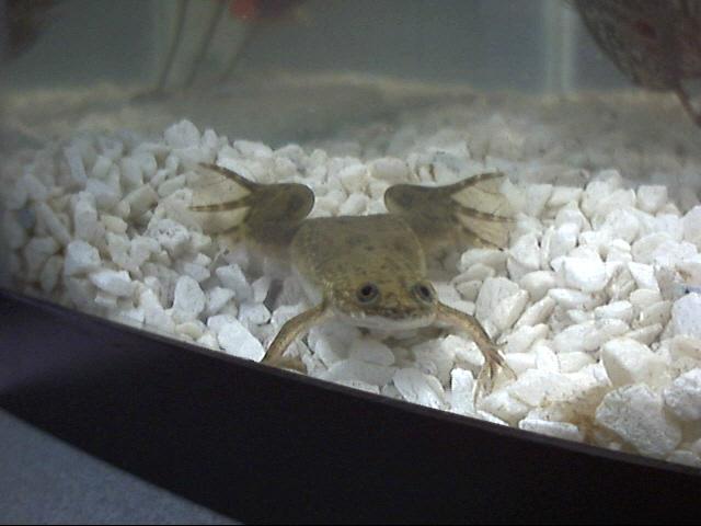 Picture 5