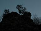 DSCN0384