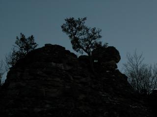 DSCN0384