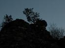 DSCN0385