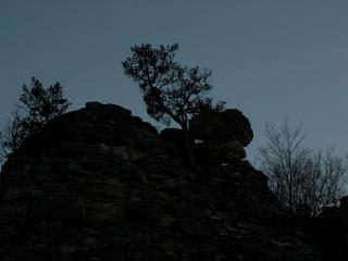 DSCN0385