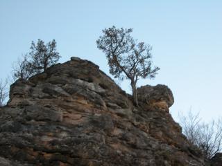 DSCN0390
