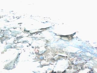 DSCN0392