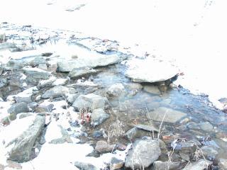 DSCN0393