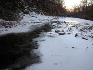 DSCN0403