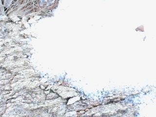 DSCN0412